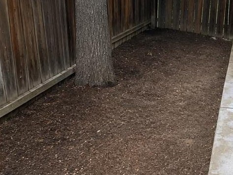 The same side yard raked clear along the fence line